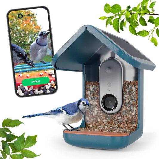 Original Smart Bird Feeder with Camera Solar Powered. High Resolution AI Camera for Beautiful Close-up Shots and a Unique Bird Watching Experience！！！